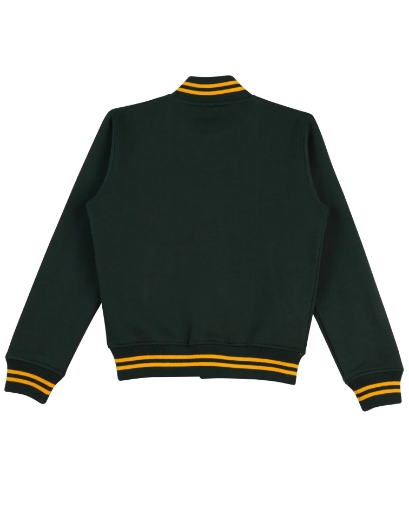 Picture of Winning Spirit, Adult's Fleece Varsity Jacket